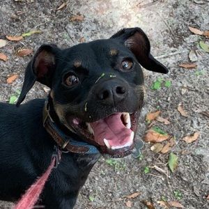 Meet your Posher, Adriana